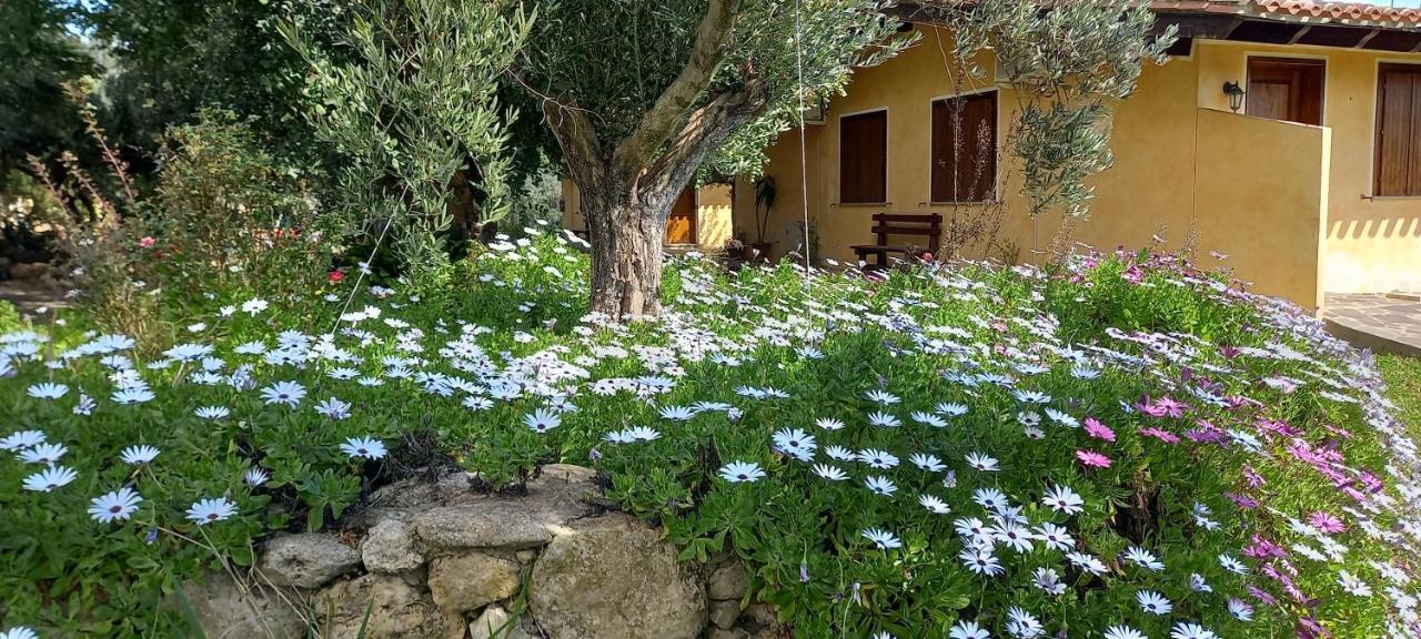 Agriturismo Bachile Bertula Vila Riola Sardo Exterior foto